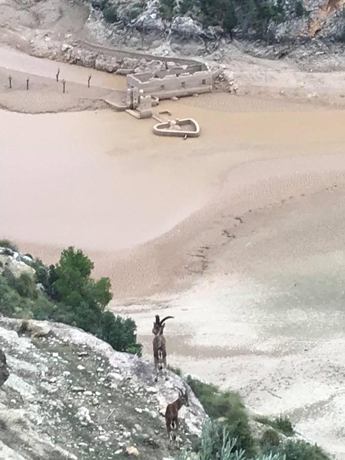 El Refugio De Chloe Villa Villar de Ves Ngoại thất bức ảnh